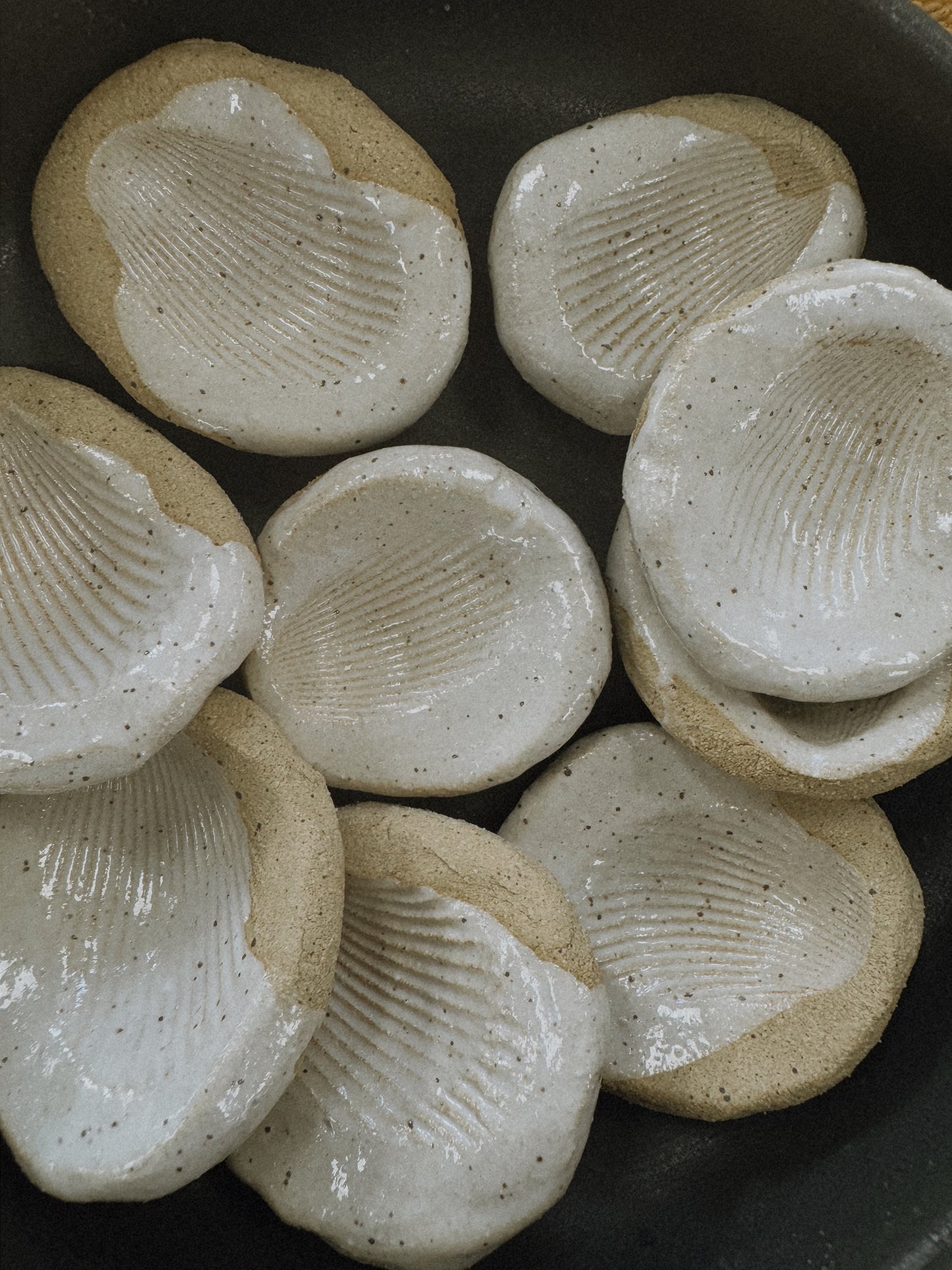 Little Baby Shell Dish